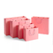 ISO Druk offsetowy Odzież Torby papierowe Bielizna Cynamonowa różowa torba papierowa